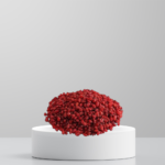 Dried Barberries 250g زرشک خشک ممتاز